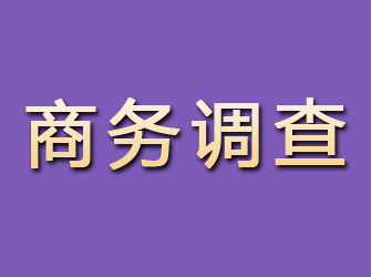 宁陵商务调查